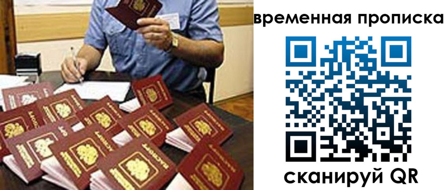 прописка для школы в Алейске
